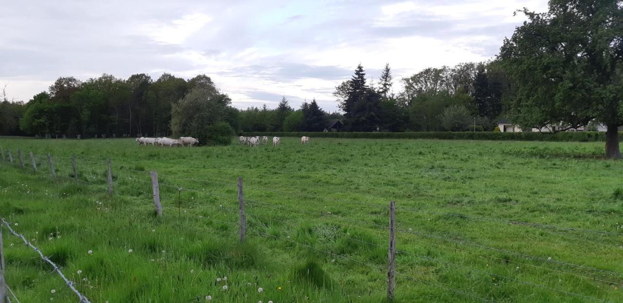 Villa La Champetre Beaumesnil  Esterno foto